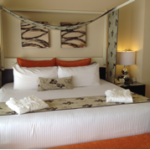 bed cc2 blog
